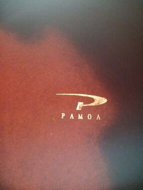 Burgandy Women's Hat